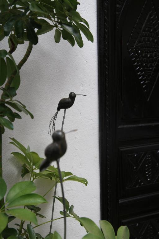 Riad Dar Zampa Marrakesh Exterior photo